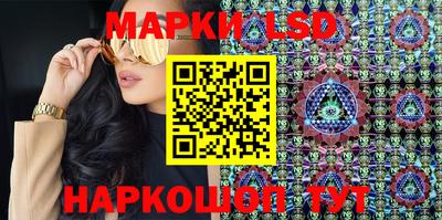 гидропоника Будённовск