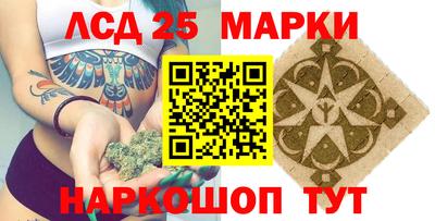 гидропоника Будённовск