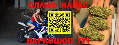 гидропоника Будённовск